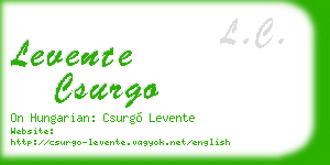 levente csurgo business card
